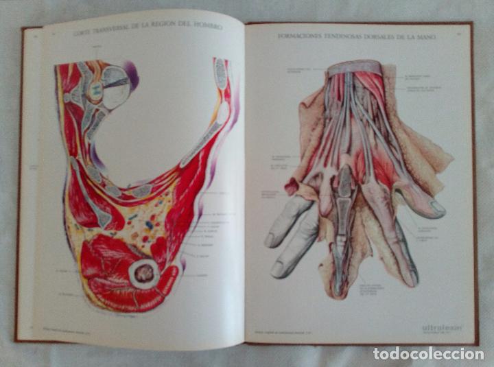 Libros de segunda mano: L&Aacute;MINAS DE ANATOM&Iacute;A - LABORATORIOS ALMIRALL  1975 - Foto 9