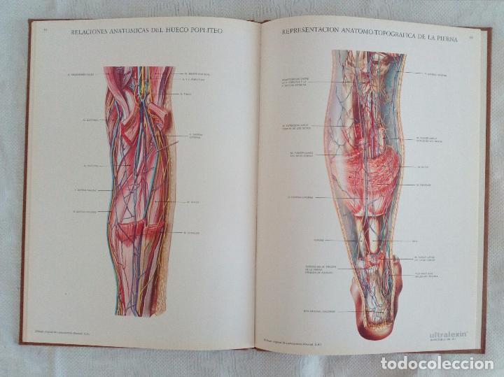 Libros de segunda mano: L&Aacute;MINAS DE ANATOM&Iacute;A - LABORATORIOS ALMIRALL  1975 - Foto 10
