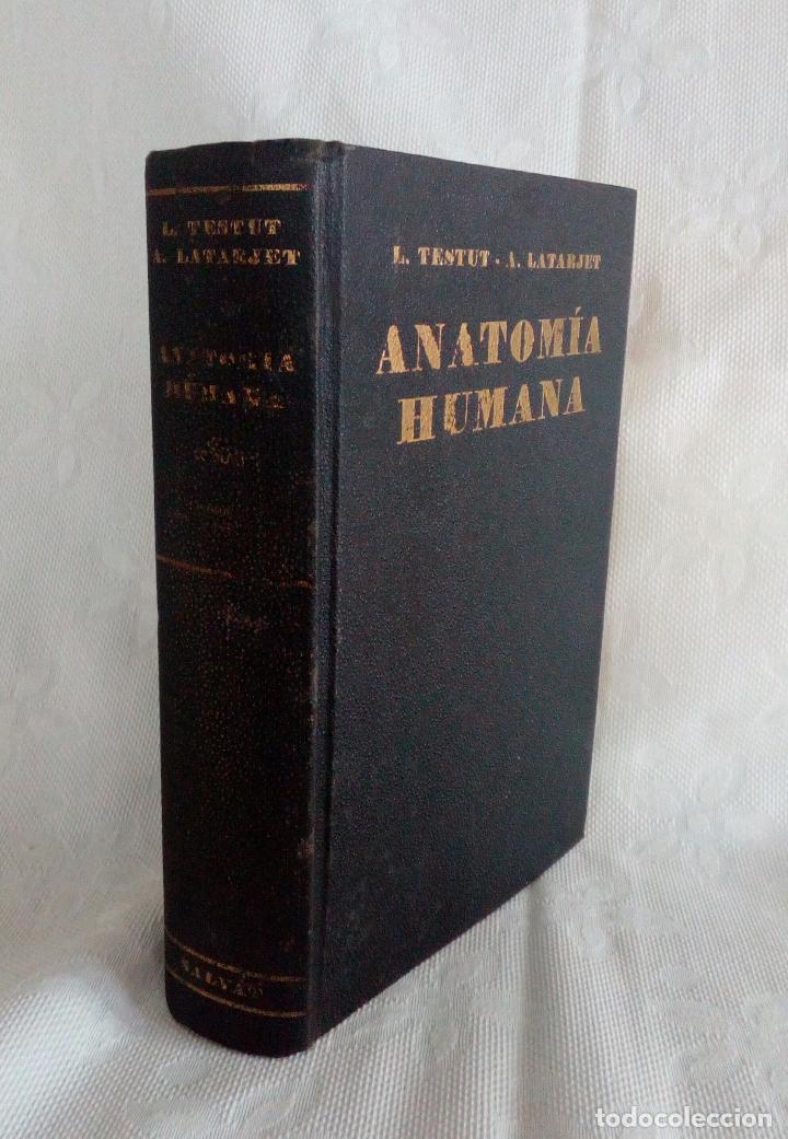 Tratado De Anatomía Humana Tomo Ii ( Angiología - Vendido En Venta ...