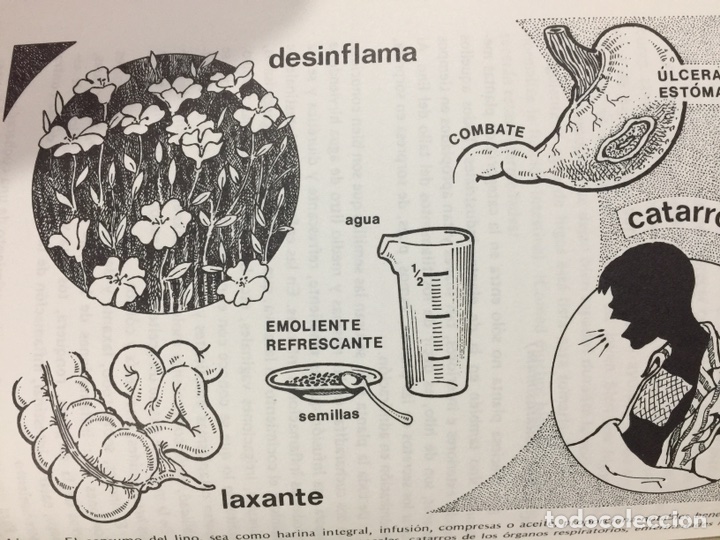 Libros de segunda mano: Gu&iacute;a de medicina natural - Foto 5