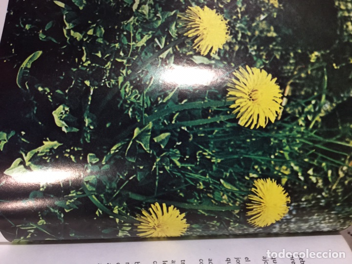 Libros de segunda mano: Gu&iacute;a de medicina natural - Foto 6