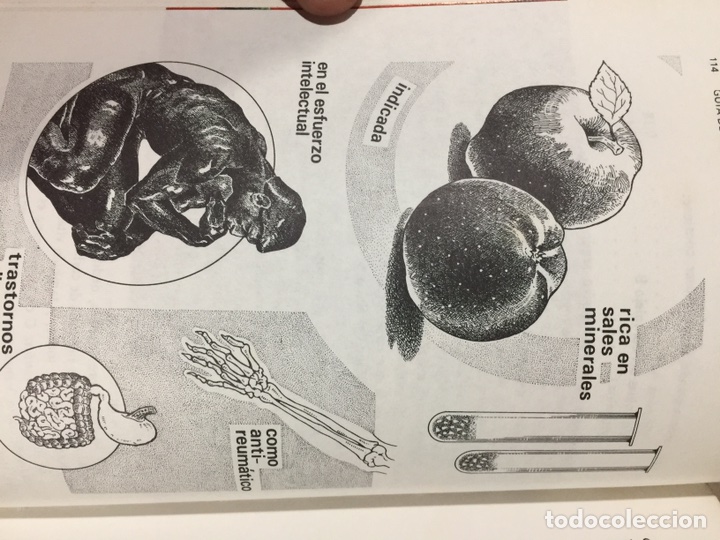 Libros de segunda mano: Gu&iacute;a de medicina natural - Foto 7