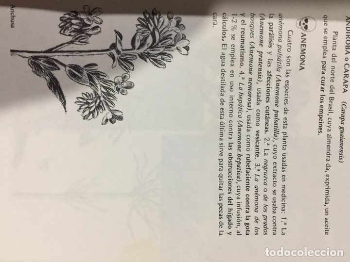 Libros de segunda mano: Gu&iacute;a de medicina natural - Foto 9