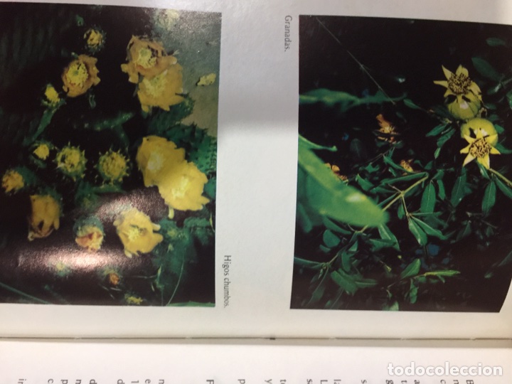 Libros de segunda mano: Gu&iacute;a de medicina natural - Foto 12
