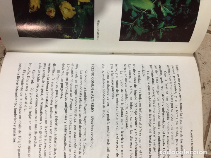 Libros de segunda mano: Gu&iacute;a de medicina natural - Foto 13