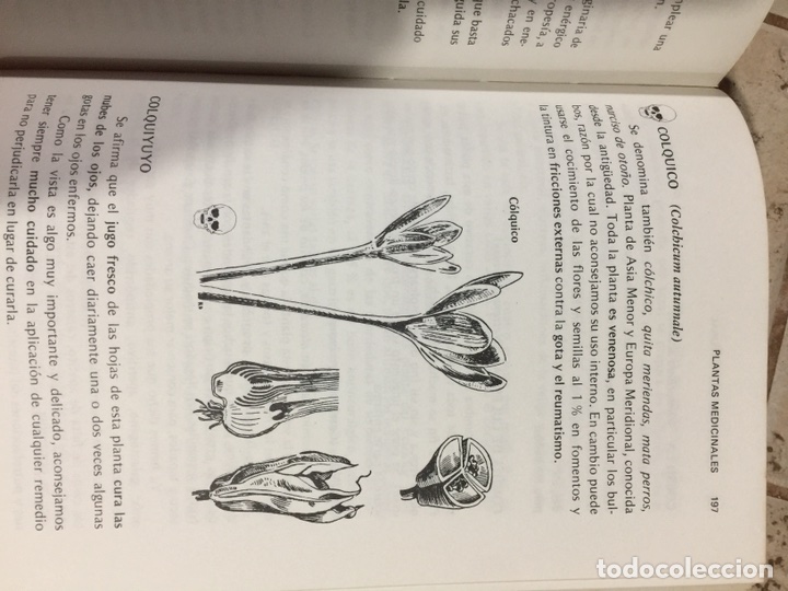 Libros de segunda mano: Gu&iacute;a de medicina natural - Foto 14
