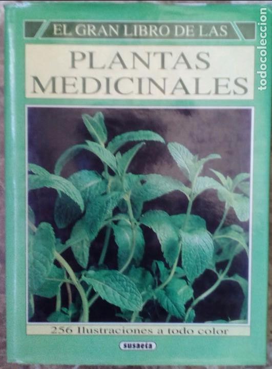 Libros de segunda mano: El gran libro de las plantas medicinales - Foto 1
