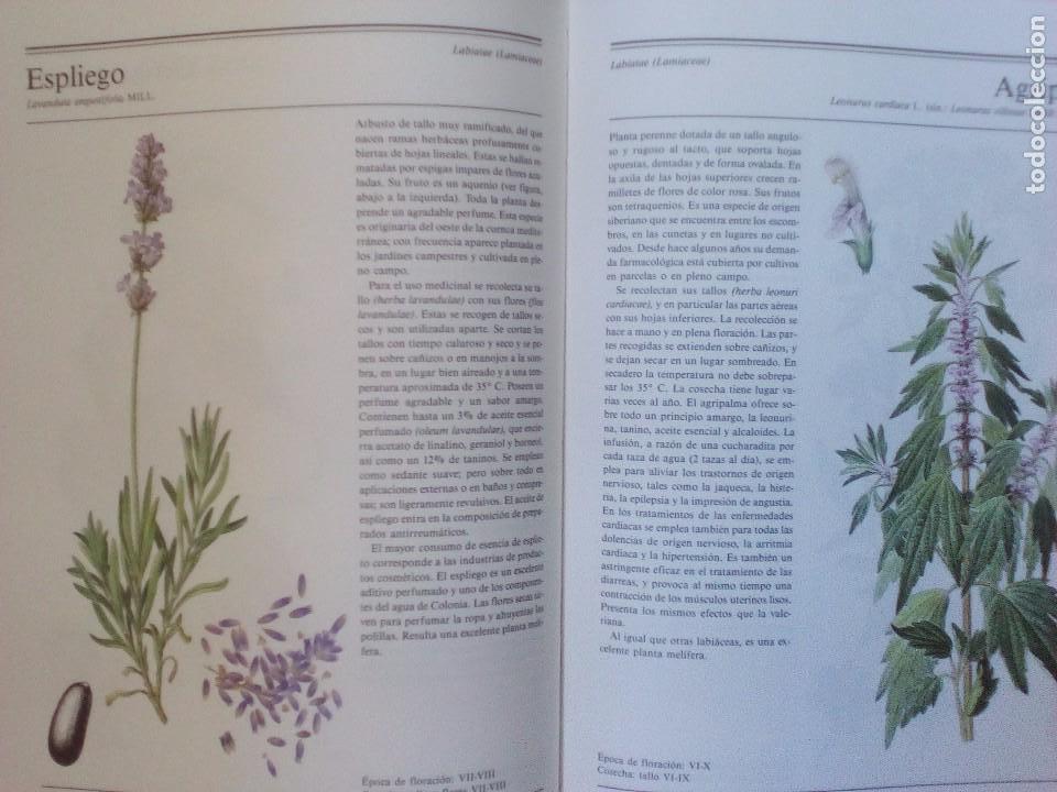Libros de segunda mano: El gran libro de las plantas medicinales - Foto 2