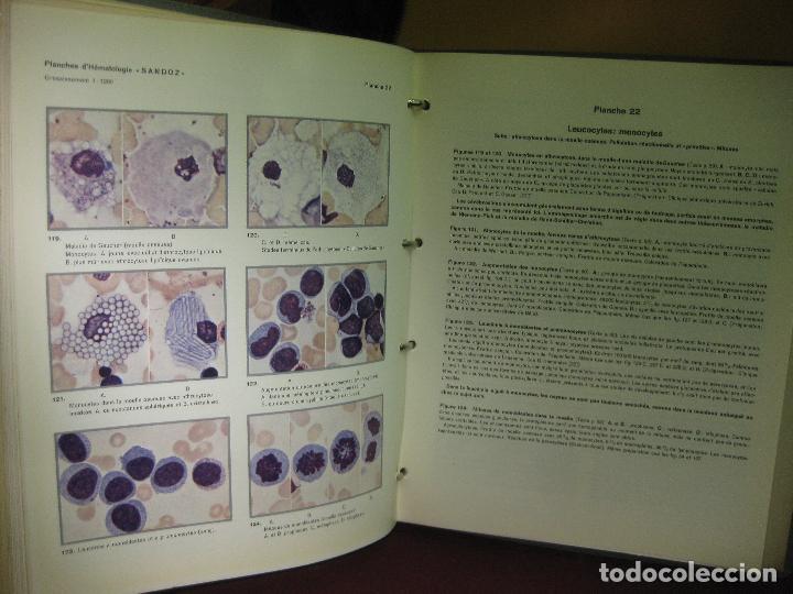 Libros de segunda mano: PLANCHES DHEMATOLOGIE SANDOZ.1952. - Foto 2