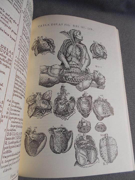 Libros de segunda mano: HISTORIA DE LA COMPOSICION DEL CUERPO HUMANO - Foto 6