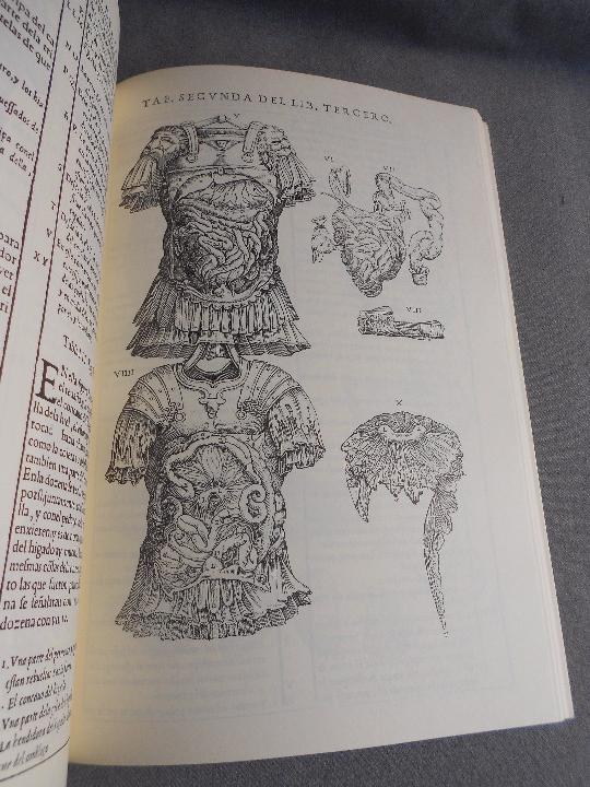 Libros de segunda mano: HISTORIA DE LA COMPOSICION DEL CUERPO HUMANO - Foto 8