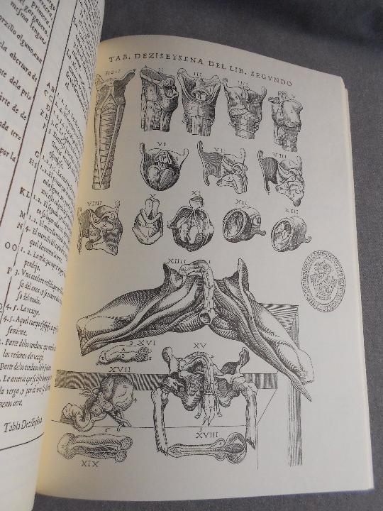 Libros de segunda mano: HISTORIA DE LA COMPOSICION DEL CUERPO HUMANO - Foto 9