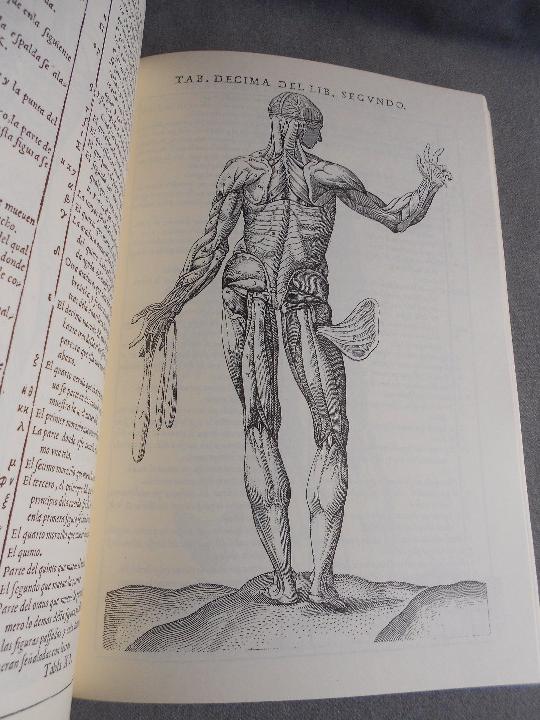 Libros de segunda mano: HISTORIA DE LA COMPOSICION DEL CUERPO HUMANO - Foto 10