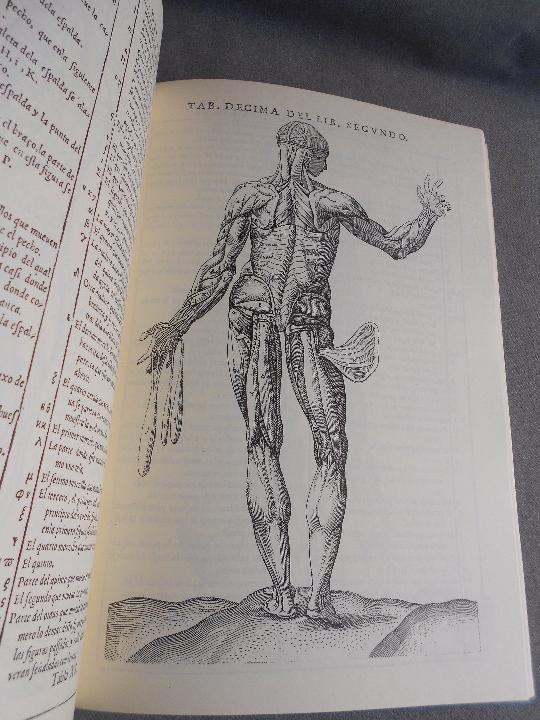 Libros de segunda mano: HISTORIA DE LA COMPOSICION DEL CUERPO HUMANO - Foto 11