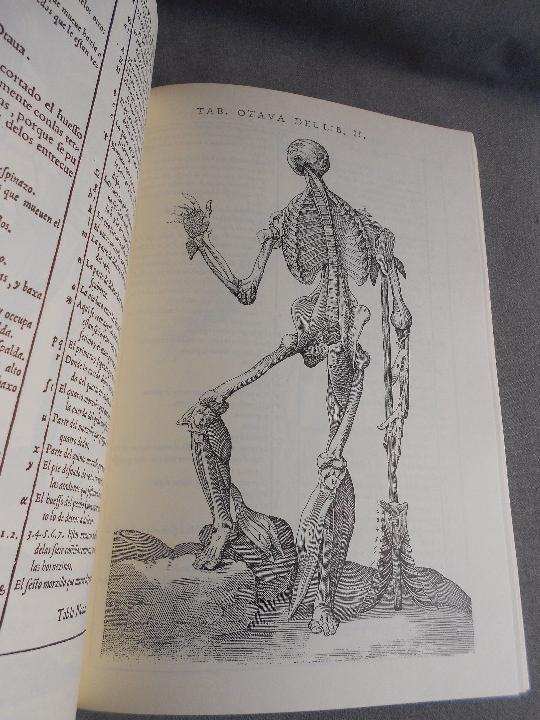 Libros de segunda mano: HISTORIA DE LA COMPOSICION DEL CUERPO HUMANO - Foto 12