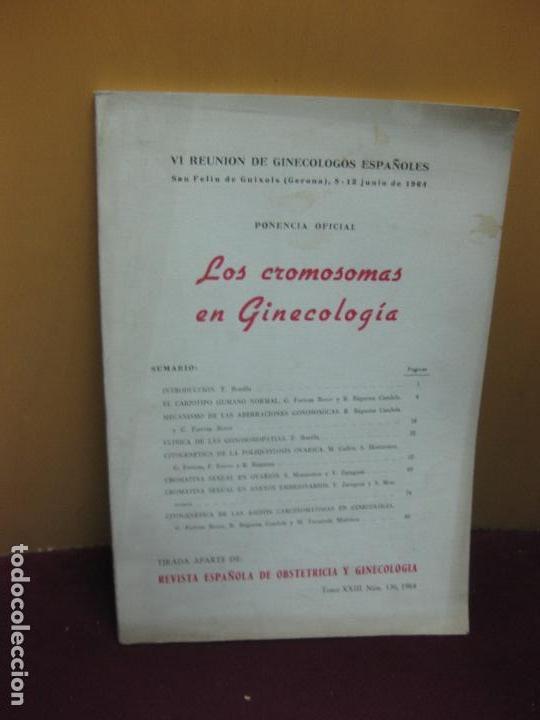Second hand books: LOS CROMOSOMAS EN GINECOLOGIA. PONENCIA OFICIAL VI REUNION DE GINECOLOGOS ESPA&Ntilde;OLES. 1964.