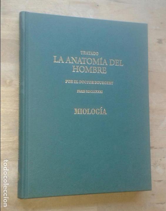 Doctor Jean Marc Bourgery Tratado La Anatomía Del Hombre Anatomía Descriptiva Miología - 