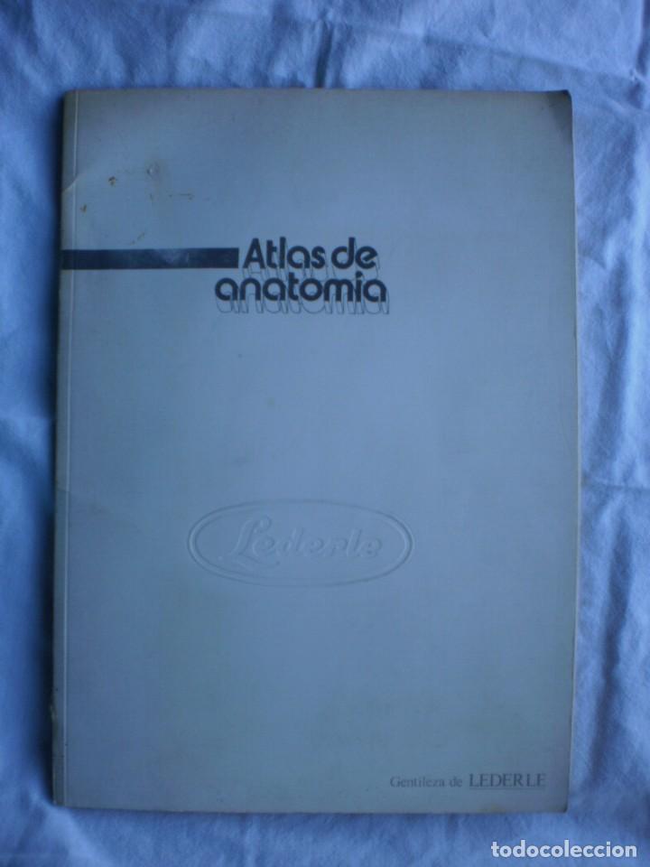 Libros de segunda mano: ATLAS DE ANATOMIA - Foto 1