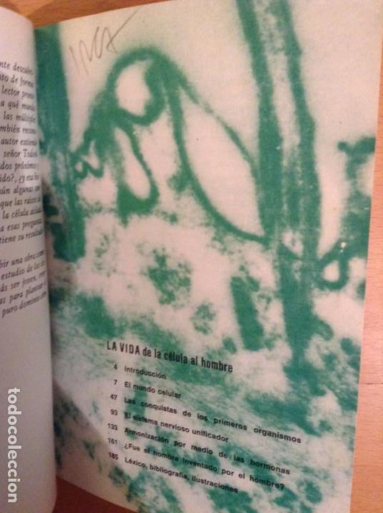 Libros de segunda mano: LA VIDA. DE LA CELULA AL HOMBRE (MAX DE CECCATTY) - Foto 4
