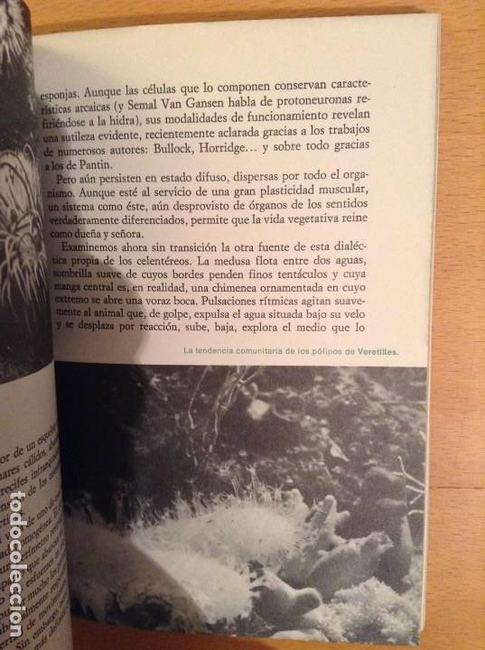 Libros de segunda mano: LA VIDA. DE LA CELULA AL HOMBRE (MAX DE CECCATTY) - Foto 5