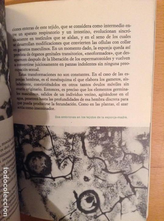 Libros de segunda mano: LA VIDA. DE LA CELULA AL HOMBRE (MAX DE CECCATTY) - Foto 6