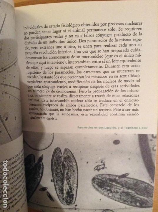 Libros de segunda mano: LA VIDA. DE LA CELULA AL HOMBRE (MAX DE CECCATTY) - Foto 7