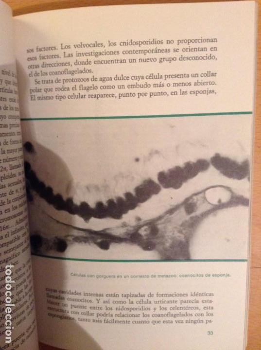 Libros de segunda mano: LA VIDA. DE LA CELULA AL HOMBRE (MAX DE CECCATTY) - Foto 8