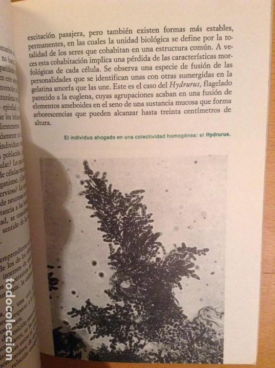Libros de segunda mano: LA VIDA. DE LA CELULA AL HOMBRE (MAX DE CECCATTY) - Foto 9