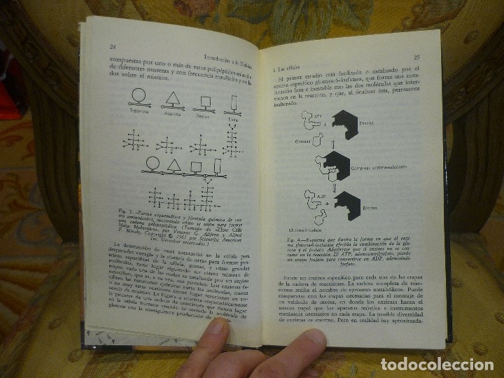 Libros de segunda mano: INTRODUCCI&Oacute;N A LA MEDICINA, DE ROGER JAMES. - Foto 5