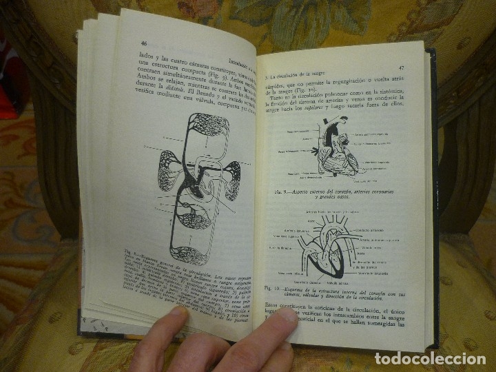 Libros de segunda mano: INTRODUCCI&Oacute;N A LA MEDICINA, DE ROGER JAMES. - Foto 6