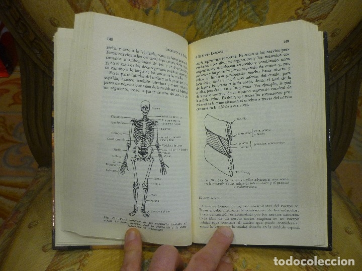 Libros de segunda mano: INTRODUCCI&Oacute;N A LA MEDICINA, DE ROGER JAMES. - Foto 7
