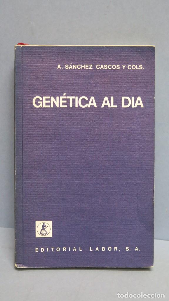 Libros de segunda mano: GENETICA AL DIA. A. SANCHEZ CASCOS - Foto 1