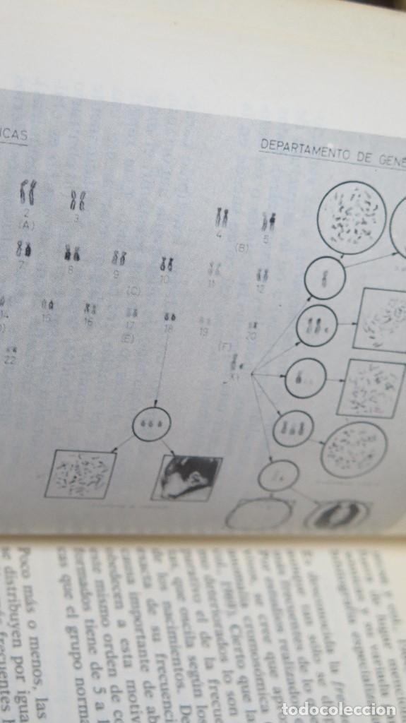 Libros de segunda mano: GENETICA AL DIA. A. SANCHEZ CASCOS - Foto 2