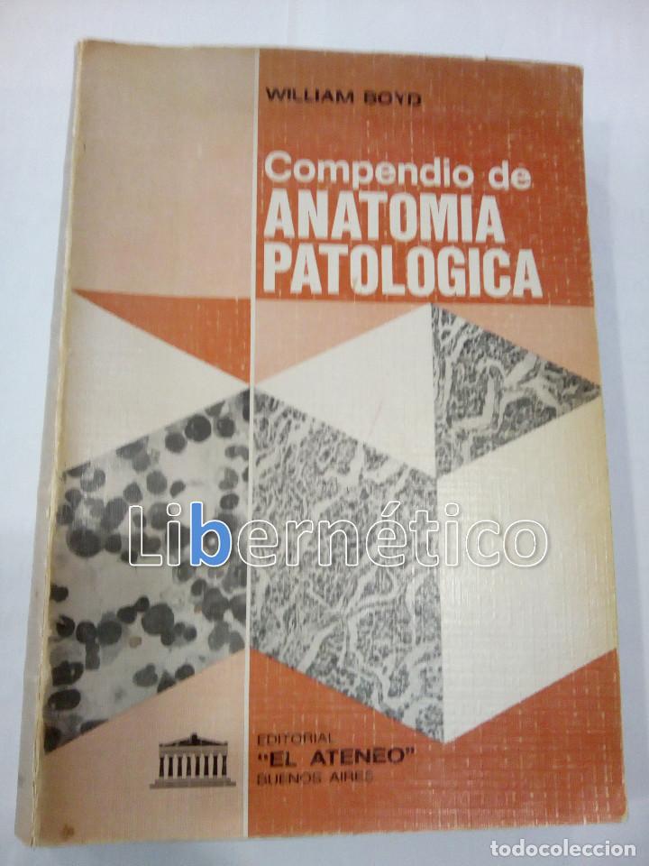 Libros de segunda mano: Compendio de anatom&iacute;a patol&oacute;gica. William Boyd - Foto 1