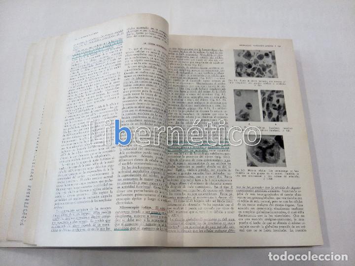 Libros de segunda mano: Compendio de anatom&iacute;a patol&oacute;gica. William Boyd - Foto 3