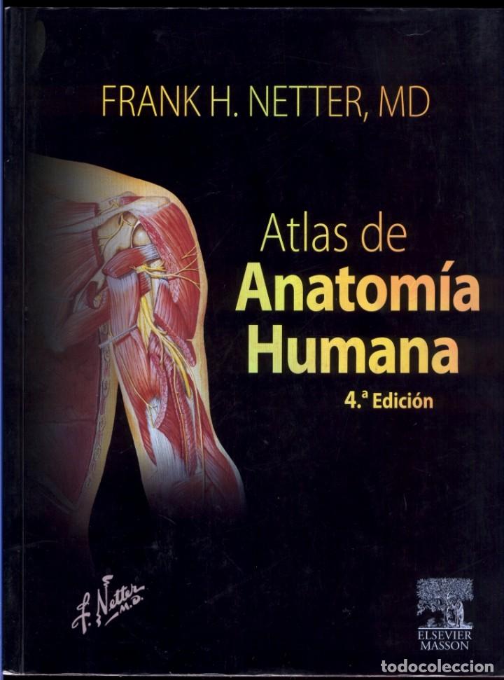 Atlas De Anatomía Humana Frank H Netter Md 4º Vendido En Venta