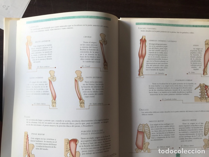 Libros de segunda mano: El masaje corporal. Libsa - Foto 10