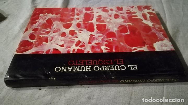 Gebrauchte B&uuml;cher: el cuerpo humano-el esqueleto	 / 	fantastica estructura-ed thema