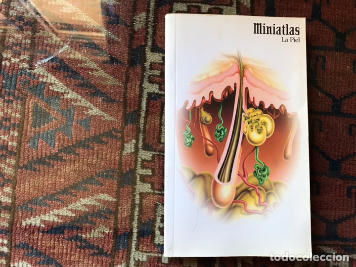 Libros de segunda mano: La piel. Miniatlas. Como nuevo - Foto 1