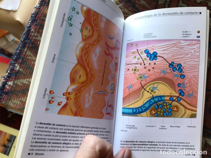 Libros de segunda mano: La piel. Miniatlas. Como nuevo - Foto 5