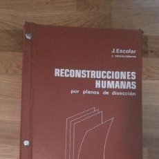 Libros de segunda mano: EXCEPCIONAL ATLAS DE RECONSTRUCCIONES HUMANAS POR PLANOS DE DISECCION. J ESCOLAR