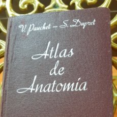 Libros de segunda mano: ATLAS DE ANATOMIA.V. PAUCHET
