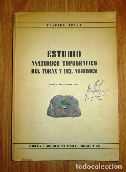 Second hand books: SEARA, Pl&aacute;cido. Estudio anat&oacute;mico topogr&aacute;fico del t&oacute;rax y del abdomen / pr&oacute;logo de Eugenio A. Galli