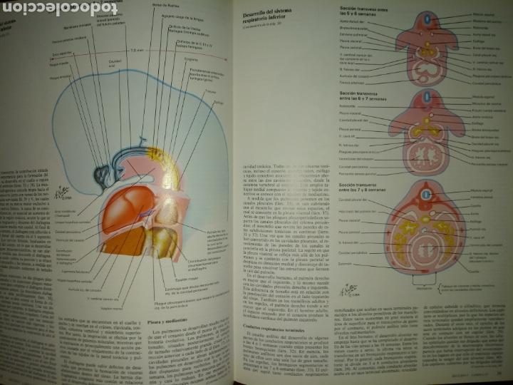 Libros Sistema Respiratorio F H Netter Tomo Comprar Libros De Medicina Farmacia Y Salud En