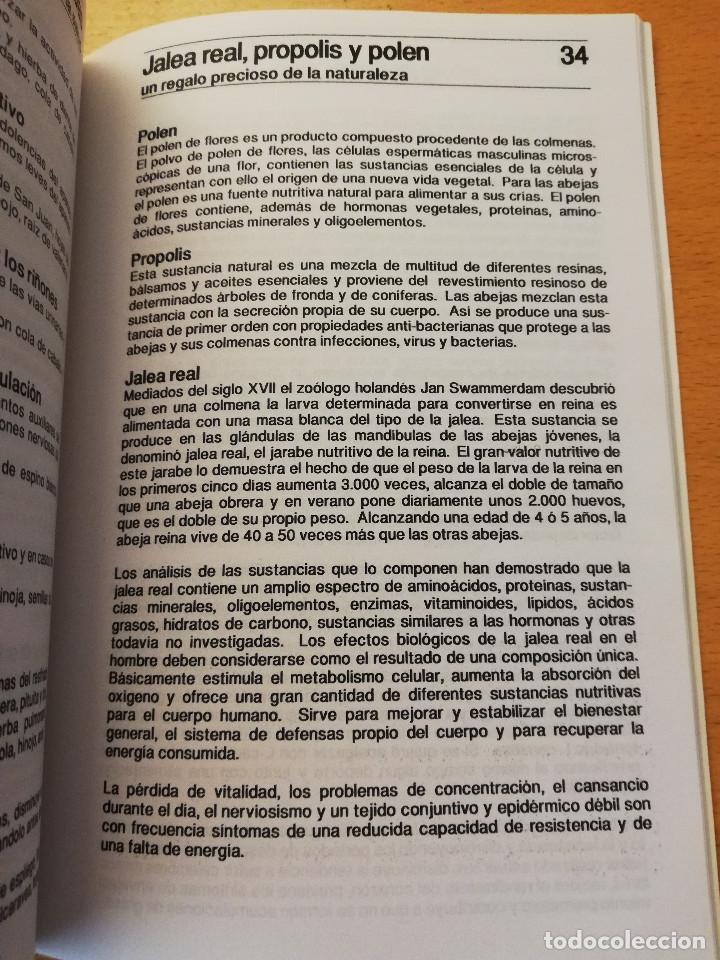 Libros de segunda mano: REMEDIOS NATURALES (KARL BAUMG&Auml;RTNER) - Foto 4