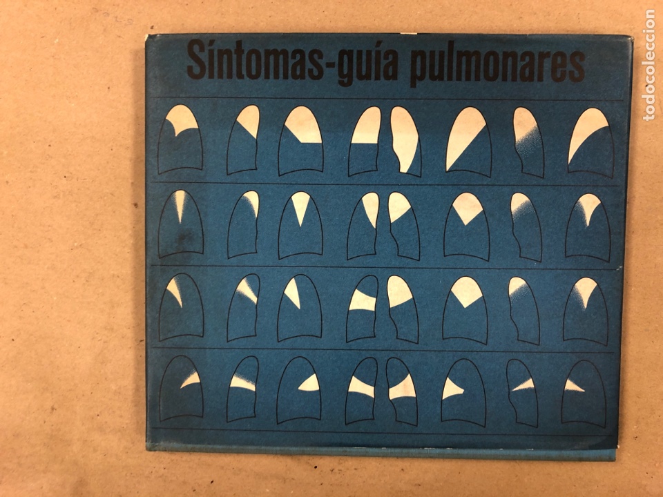 Libros de segunda mano: S&Iacute;NTOMAS-GU&Iacute;A PULMONARES. DR. HORDT-H. TOBIEN. EDITADO EN 1969.