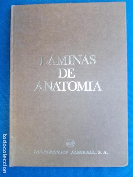 Libros de segunda mano: LAMINAS DE ANATOMIA LABORATORIOS ALMIRALL S.A. - Foto 1
