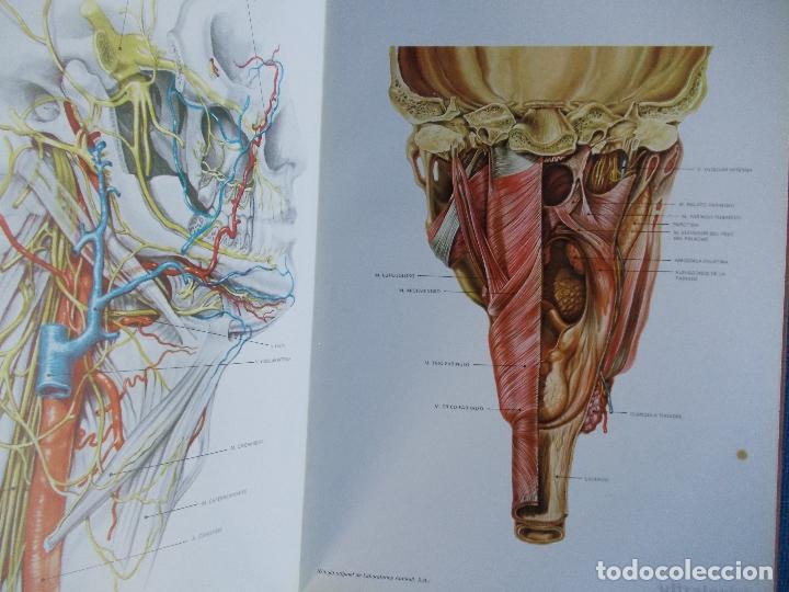 Libros de segunda mano: LAMINAS DE ANATOMIA LABORATORIOS ALMIRALL S.A. - Foto 2