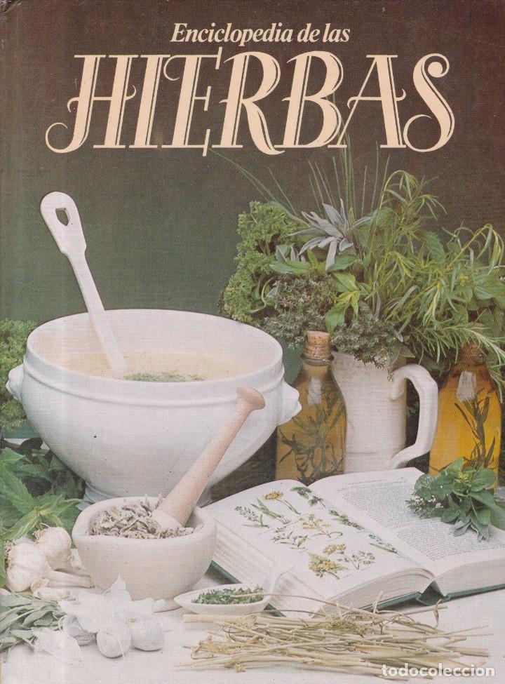 Libros de segunda mano: ENCICLOPEDIA DE LAS HIERBAS - CIRCULO LECTORES 1981 - Foto 1