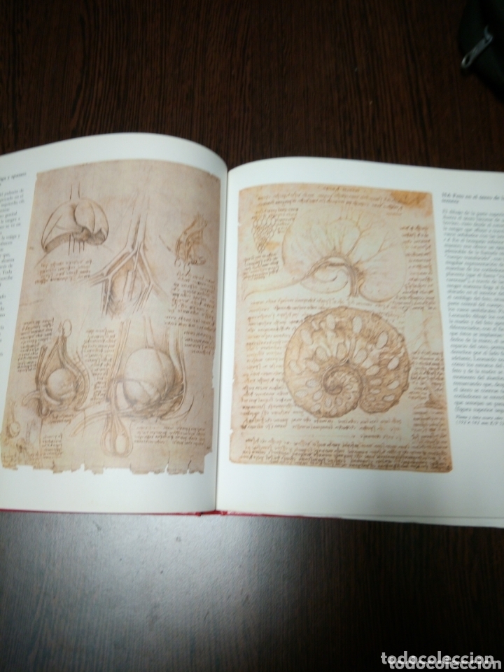 Libros de segunda mano: Dise&ntilde;os anatomicos de leonardo da vinci - Foto 3